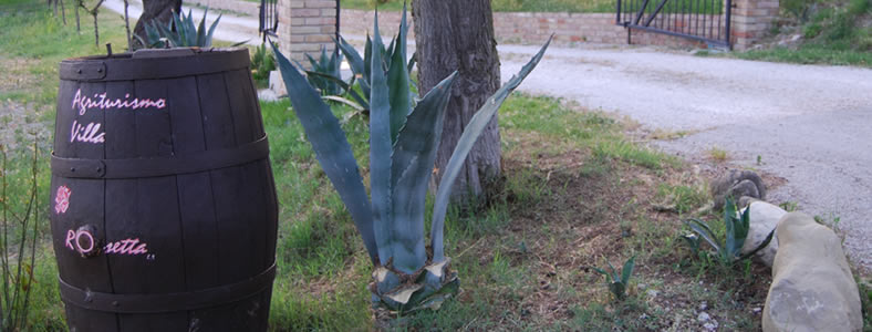 Agriturismo Villa Rosetta San Severino Marche - Dove siamo